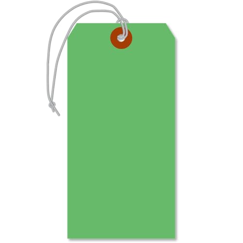 SmartSign 15,9 x 7,9 cm dunkelgrüne Etiketten mit vormontierten elastischen Schnüren, Größe 8, dicker 13-Punkt-Karton, verstärkter Faser-Patch, blanko und beschreibbar, 100 Stück SmartSign 15,9 x 7,9 cm dunkelgrüne Etiketten mit vormontierten elastischen Schnüren, Größe 8, dicker 13-Punkt-Karton, verstärkter Faser-Patch, blanko und beschreibbar, 100 Stück von SmartSign