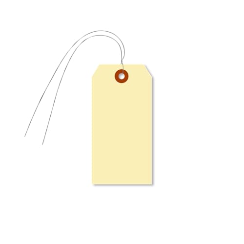 SmartSign Blanko-Manila-Etiketten mit Drähten, Größe #4, 10,8 x 5,4 cm, 10-Punkt-Karton, beschreibbare Papieranhänger mit verstärktem Faser-Patch, 1000 Stück SmartSign Blanko-Manila-Etiketten mit Drähten, Größe #4, 10,8 x 5,4 cm, 10-Punkt-Karton, beschreibbare Papieranhänger mit verstärktem Faser-Patch, 1000 Stück von SmartSign