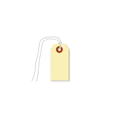 SmartSign Leere Manila-Etiketten mit vormontierten Schnüren, Größe #1, 7 x 3,5 cm, 13-Punkt-Karton, beschreibbare Papieranhänger mit verstärktem Faser-Patch, 1000 Stück SmartSign Leere Manila-Etiketten mit vormontierten Schnüren, Größe #1, 7 x 3,5 cm, 13-Punkt-Karton, beschreibbare Papieranhänger mit verstärktem Faser-Patch, 1000 Stück von SmartSign