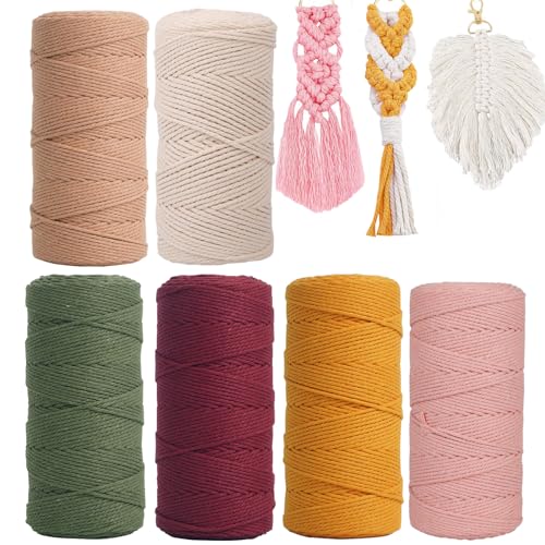 6PCS Makramee Garn, 1mm x 100m Bunt Baumwollseil, Natur Baumwolle Makramee Baumwollgarn Baumwollkordel für DIY Handwerk, Hängepflanze,Blumenampel, Basteln Stricken Boho Deko Wandbehang Dekoration (01) von Smgbway