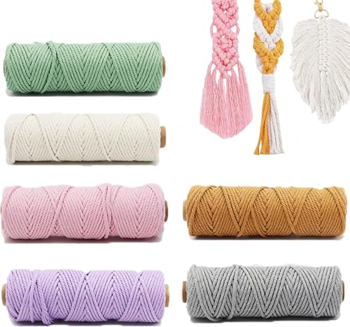 6PCS Makramee Garn, 3mm Bunt Baumwollseil, Natur Baumwolle Makramee Baumwollgarn Baumwollkordel für DIY Handwerk, Hängepflanze,Blumenampel, Basteln Stricken Boho Deko Wandbehang (50m-02) von Smgbway
