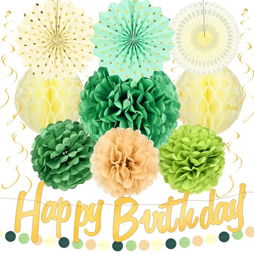 Geburtstagsdeko,Pompons Deko,Wabenbälle,Grün Seidenpapier Pompons,Geburtstag,Brautdusche,Babyparty,Hochzeit Party Deko Fiesta Partydekorationen Geburtstagsdeko,Pompons Deko,Wabenbälle,Grün Seidenpapier Pompons,Geburtstag,Brautdusche,Babyparty,Hochzeit Party Deko Fiesta Partydekorationen von Smlper