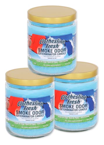 Smoke Odor Exterminator 368 g Kerzen im Glas (Wäscheleine frisch, 3) Set mit drei Kerzen. von Smoke Odor Exterminator