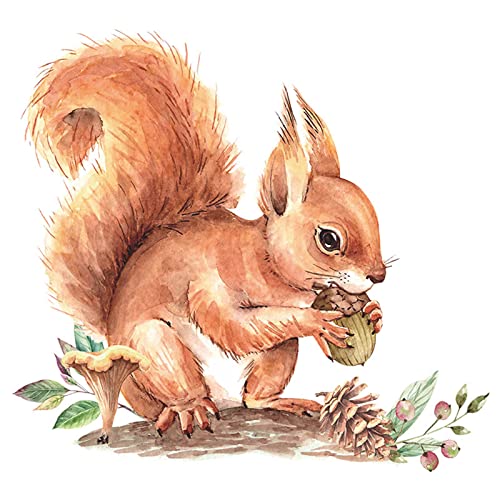 Windrose Aufkleber Auto Niedliches kleines Eichhörnchen Tannenzapfen Kinderzimmer Kindergarten Home Wanddekoration Wandaufkleber Frei.wild Aufkleber Auto (a, One Size) von Snakell