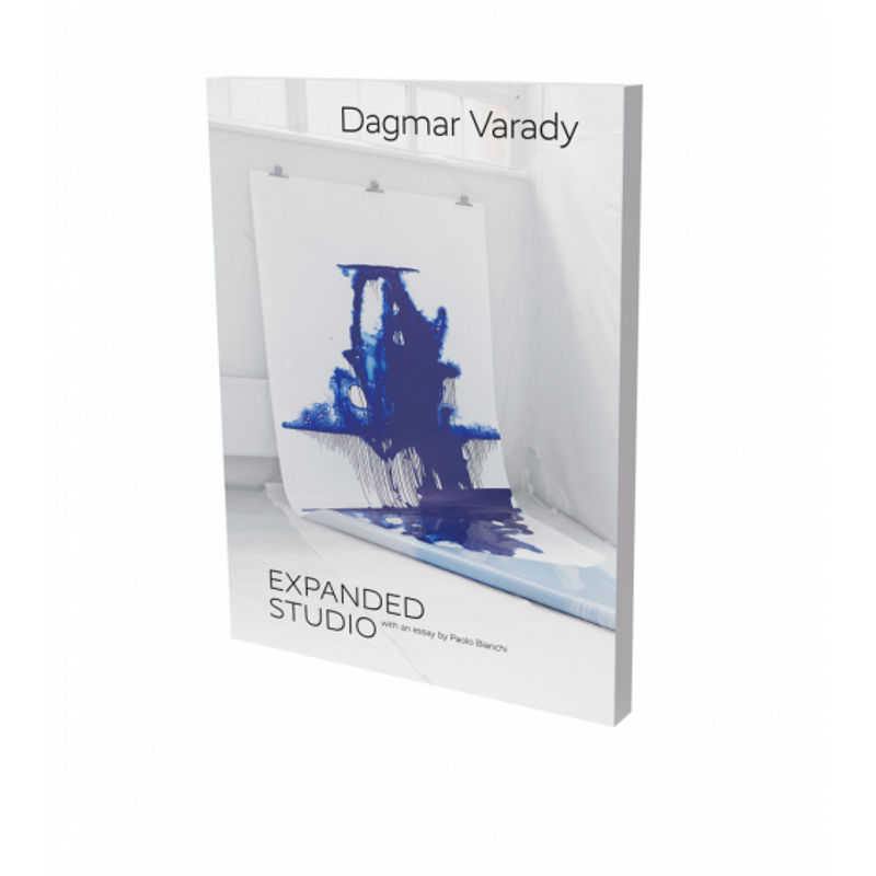 Dagmar Varady: Expanded Studio, Kartoniert (TB) von Snoeck