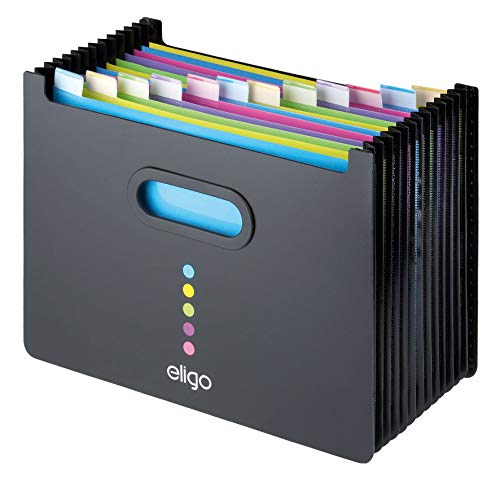 Eligo Archivbox (13 Fächer, DIN A4, Querformat) von Snopake