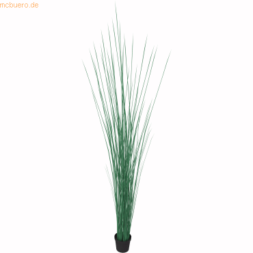 Soennecken Kunstpflanze Seegras Höhe 1550mm Kunststofftopf Soennecken Kunstpflanze Seegras Höhe 1550mm Kunststofftopf von Soennecken