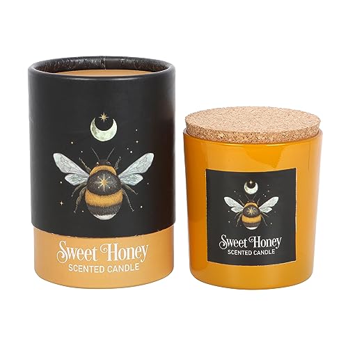 Forest Bee Sweet Honey Candle: Mystical Bee Design, Dark Forest Realms, Sacred Creatures, veganes Paraffinwachs, 25 Stunden Brenndauer – beruhigender Raumduft von Something Different Wholesale