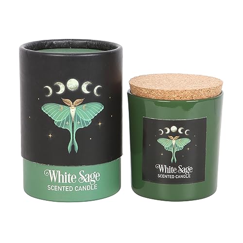 Luna Motte Weißer Salbei Kerze – Heilige Kreaturen in dunklen Waldreichen | veganes Paraffinwachs | 25 Stunden Brenndauer | beruhigende Aromatherapie für Zuhause von Something Different Wholesale