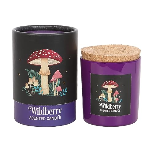 Something Different Wholesale - Kerze | Wildbeer-Duft, mystisches Pilz-Design, veganes Paraffinwachs, 25 Stunden Brenndauer, Magisch inspiriertes Ambiente Something Different Wholesale - Kerze | Wildbeer-Duft, mystisches Pilz-Design, veganes Paraffinwachs, 25 Stunden Brenndauer, Magisch inspiriertes Ambiente von Something Different Wholesale