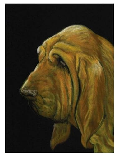 SonGxu DIY Ölgemälde Malen Nach Zahlen Kits Auf Leinwand Bloodhound-Hund Kunsthandwerk Für Home Wall Decor Geschenk,40x50cm von SonGxu