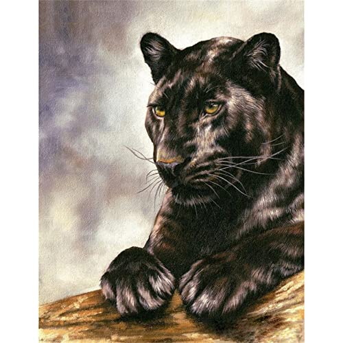 SongYww 5D Diamant Painting Set Full Kristall Strass Schwarzer Panther Diamond Painting für Kinder/Erwachsene,DIY Diamant Malerei Zubehör für Wand Dekoration und Geschenk Round Drill 40x50cm von SongYww