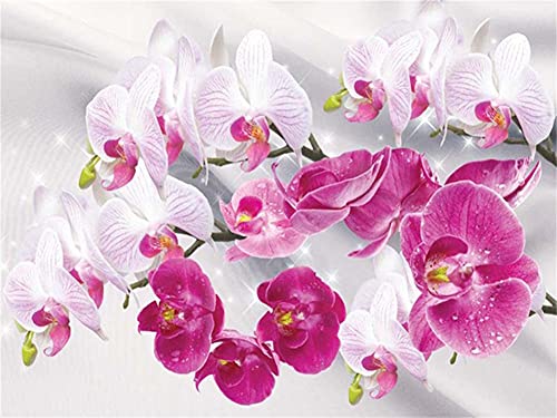 SongYww DIY 5D Diamond Painting Set für Kinder/Erwachsene Orchidee Diamant Painting Bilder Full Drill Kristall Stickerei Kreuzstich Kunsthandwerk für Home Wand Dekorationen Geschenk 60x80cm von SongYww