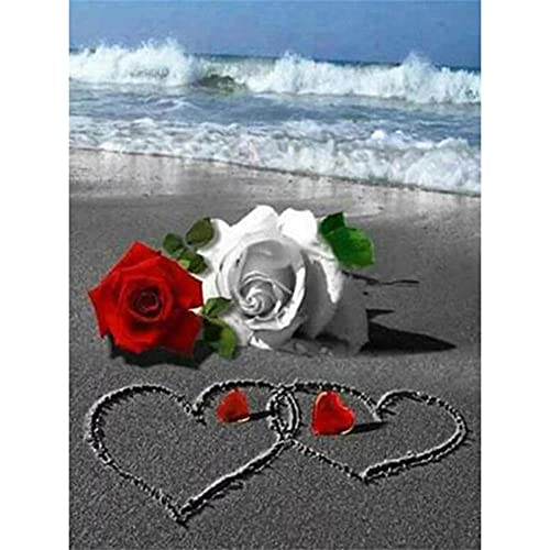 SongYww DIY 5D Diamond Painting Set für Kinder/Erwachsene Rose am Meer Diamant Painting Bilder Full Drill Kristall Stickerei Kreuzstich Kunsthandwerk für Home Wand Dekorationen Geschenk 30x40cm von SongYww