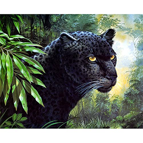SongYww DIY 5D Diamond Painting Set für Kinder/Erwachsene Schwarzer Panther Diamant Painting Bilder Full Drill Kristall Stickerei Kunsthandwerk für Home Wand Dekorationen Geschenk Round Drill 40x60cm von SongYww