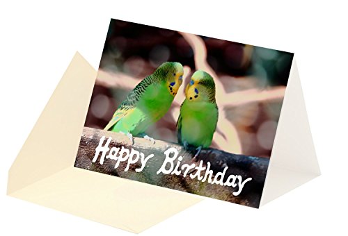 Wellensittiche - 1 Geburtstagskarte Wellensittich Klappkarte Happy Birthday mit 1 farbigen Kuvert - edel, hochwertig von Sonja Moormann