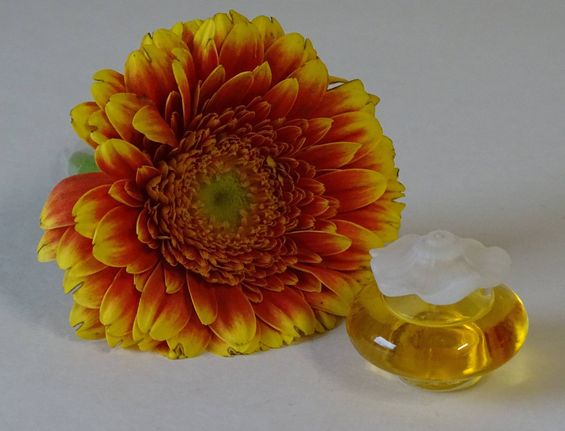 Vintage 1982 -Nina Ricci Fleur De Fleurs Parfum Toilette Pdt 6Ml Miniatur Parfüm Für Die Frau Vintage 1982 -Nina Ricci Fleur De Fleurs Parfum Toilette Pdt 6Ml Miniatur Parfüm Für Die Frau von Sonne021VonSiegfried
