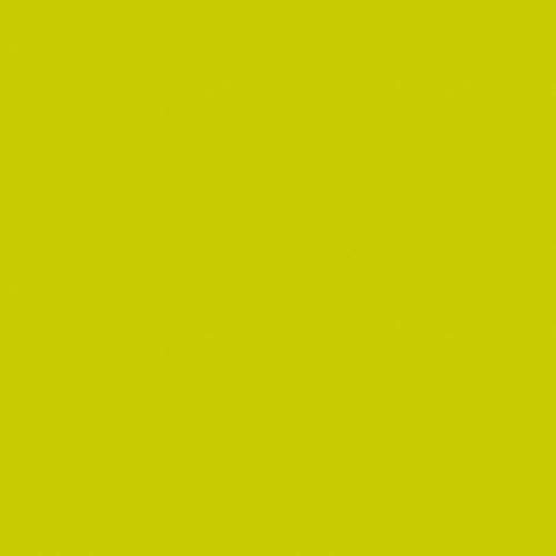 Sovie HORECA Tischdecke mit Pearl Coating (wasserabweisend) | Einweg-Tischdecke Mitteldecke | 80 x 80 cm | 15 Stück (Kiwi) von Sovie HORECA