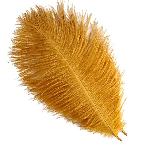 SOWDER 50 Natur 20,3–25,4 cm (20–25 cm) Strauß Federn für Home Hochzeit Dekoration goldfarben von Sowder