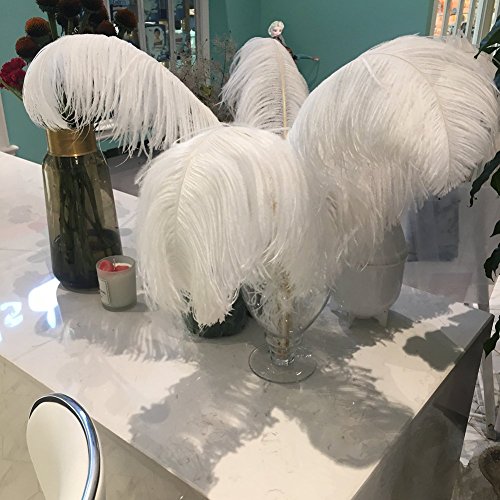 Sowder Straußenfedern, 53–60 cm, für Hochzeit, Dekoration, 10 Stück (weiß) von Sowder