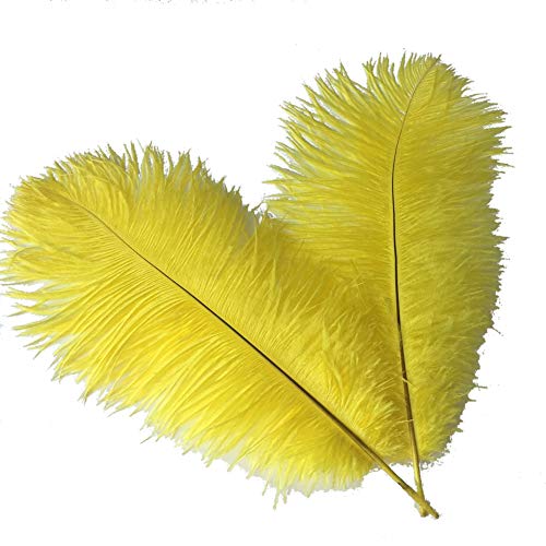 Sowder Federn, Federn, für Hochzeit, Tafelaufsatz, Heimdekoration, 35–40 cm, Gelb, 10 Stück von Sowder
