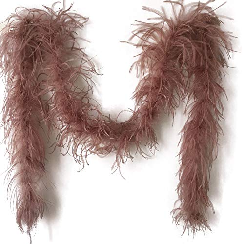 Sowder 1-lagige Straußenfeder-Boa für Hochzeit/Party-Dekoration, Federschaber, 183 cm lang, braun, 10*10*0.5 Sowder 1-lagige Straußenfeder-Boa für Hochzeit/Party-Dekoration, Federschaber, 183 cm lang, braun, 10*10*0.5 von Sowder