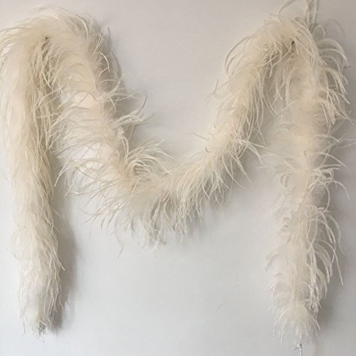 Sowder Straußenfederboa für Hochzeit/Party-Dekoration, 183 cm lang, 1-lagig, Federschaber, elfenbeinfarben, 10 * 10 * 0.5 Sowder Straußenfederboa für Hochzeit/Party-Dekoration, 183 cm lang, 1-lagig, Federschaber, elfenbeinfarben, 10 * 10 * 0.5 von Sowder