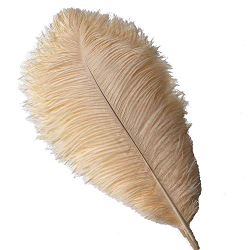 Sowder Straußenfedern, 45–50 cm, für Hochzeiten, Tafelaufsätze, Heimdekoration, 10 Stück (Champagner) von Sowder