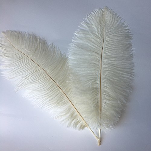 Sowder Straußenfedern, 45–50 cm, für Hochzeitsdekoration, elfenbeinfarben, 10 Stück von Sowder