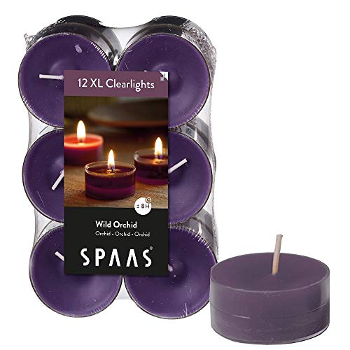 Spaas 12 Maxi Duftenden Clearlights, Teelichter mit durchsichtigem Halter, ± 8 Stunden-Wild Orchid, Paraffinwachs, Aubergine, D 56 mm x H 21 mm von Spaas