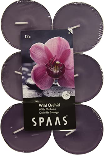 Spaas 12 Maxi Teelichter, ± 10 Stunden-Wild Orchid, Paraffinwachs, Aubergine, D 58 mm x H 24 mm von Spaas