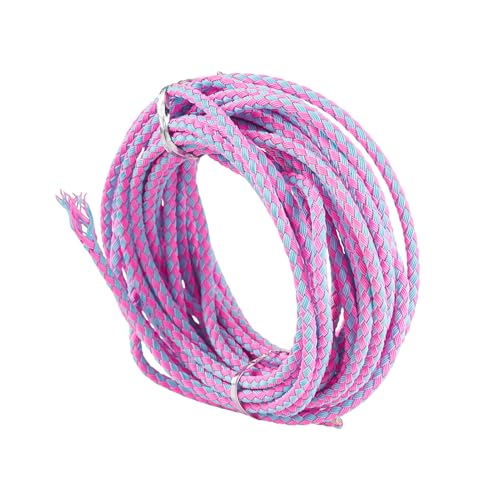 Sparkeads Violette, böhmische runde geflochtene Schnur, 9 Gauge, Nylon, geflochtene Drähte, 3 mm, bunt, leicht elastisch, Schmuckdraht für Schmuckherstellung, DIY, Freundschaftsarmband, Halskette, 4,5 von Sparkeads