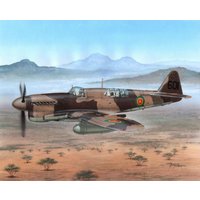 Fairey Firefly FR Mk.I Foregin Post War von Special Hobby