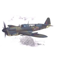 Fairey Firefly Mk.I Home Fleet von Special Hobby