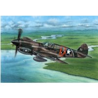 P-40E Warhawk - Claws and Teeth von Special Hobby