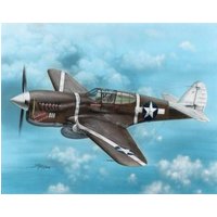 P-40F Warhawk Guadalcanal Hawks von Special Hobby