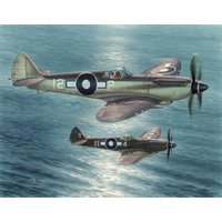 Seafire Mk.XV Far East Service von Special Hobby