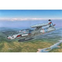 T-33 Japanese and South American T-Birds von Special Hobby