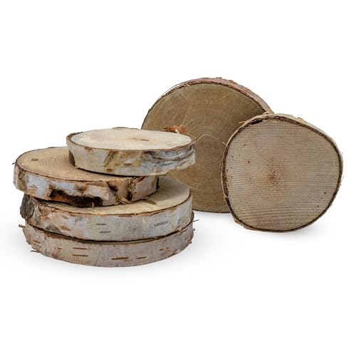 Birkenholzscheibe mit Rinde klein Echtholz 7 cm - 15-17 Stück - Birken Baumscheibe zum Basten und Dekorieren - DIY Holzscheibe Birkenscheibe Naturholz Scheibe Hölzerne Hochzeit Tischschilder Birkenholzscheibe mit Rinde klein Echtholz 7 cm - 15-17 Stück - Birken Baumscheibe zum Basten und Dekorieren - DIY Holzscheibe Birkenscheibe Naturholz Scheibe Hölzerne Hochzeit Tischschilder von Spetebo