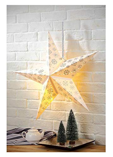 Weihnachtsstern Schneeflocke 60 cm - 10 LED - Papierstern zum hängen Leuchtstern von Spetebo
