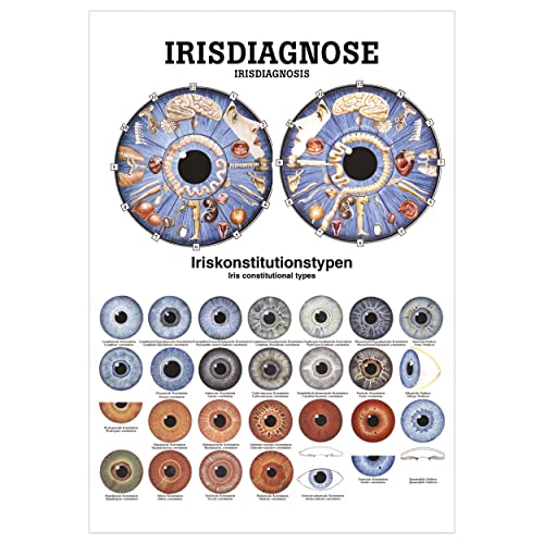 Sport-Tec Irisdiagnose Poster Anatomie 70x50 cm medizinische Lehrmittel Sport-Tec Irisdiagnose Poster Anatomie 70x50 cm medizinische Lehrmittel von Sport-Tec