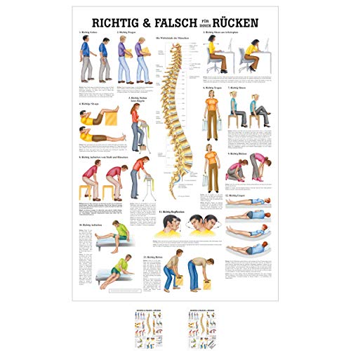Sport-Tec Richtig u. falsch für Ihren Rücken Mini-Poster Anatomie 34x24 cm med. Lehrmittel Sport-Tec Richtig u. falsch für Ihren Rücken Mini-Poster Anatomie 34x24 cm med. Lehrmittel von Sport-Tec