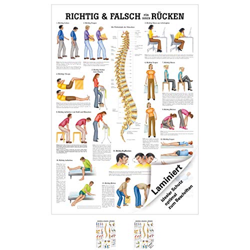 Sport-Tec Richtig u. falsch für Ihren Rücken Mini-Poster Anatomie 34x24 cm med. Lehrmittel von Sport-Tec