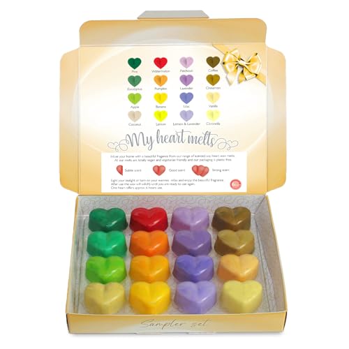 Verschiedene Wachsschmelz-Geschenk-Set – 16 x 6 g verschiedene Wachsschmelzdüfte zum Ausprobieren, inklusive – Kiefer, Kaffee, Eukalyptus, Kürbis, Lavendel, Flieder, Apfel, Flieder, Vanille, Verschiedene Wachsschmelz-Geschenk-Set – 16 x 6 g verschiedene Wachsschmelzdüfte zum Ausprobieren, inklusive – Kiefer, Kaffee, Eukalyptus, Kürbis, Lavendel, Flieder, Apfel, Flieder, Vanille, von Spotless Leopard