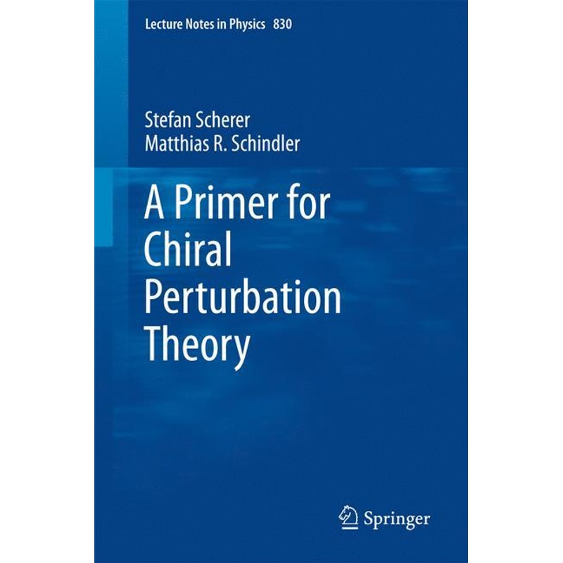 A Primer For Chiral Perturbation Theory - Stefan Scherer, Matthias R. Schindler, Kartoniert (TB) von Springer, Berlin