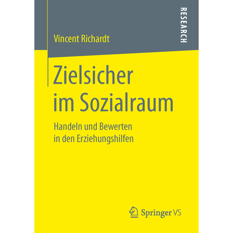 Zielsicher Im Sozialraum - Vincent Richardt, Kartoniert (TB) von Springer Fachmedien Wiesbaden