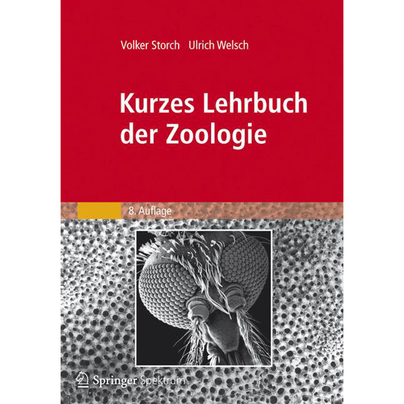 Kurzes Lehrbuch Der Zoologie - Volker Storch, Ulrich Welsch, Kartoniert (TB) von Springer Spektrum