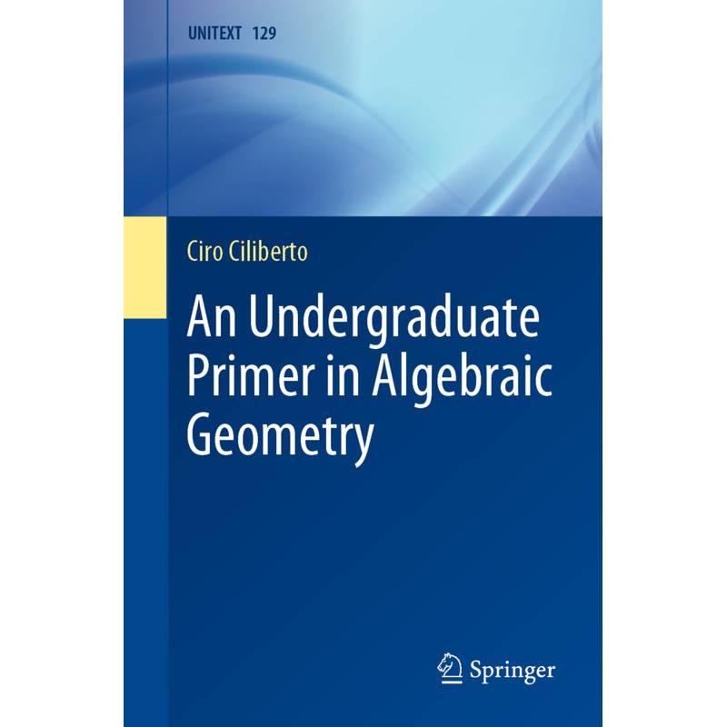 An Undergraduate Primer In Algebraic Geometry - Ciro Ciliberto, Kartoniert (TB) von Springer, Berlin
