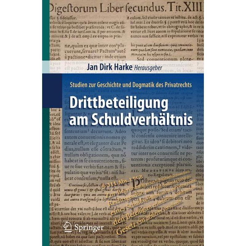 Drittbeteiligung Am Schuldverhältnis, Kartoniert (TB) von Springer