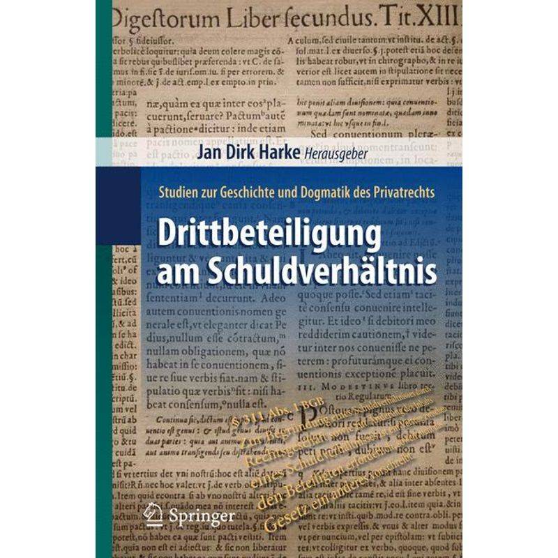 Drittbeteiligung Am Schuldverhältnis, Kartoniert (TB) von Springer